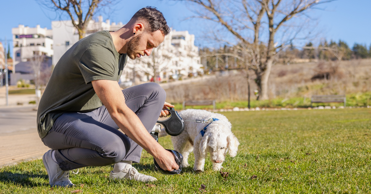 Mann sammelt Kot vom Hund ein