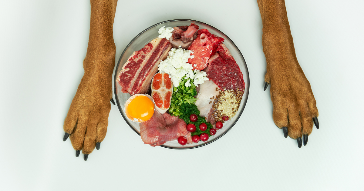 Hundenapf mit gesundem Futter