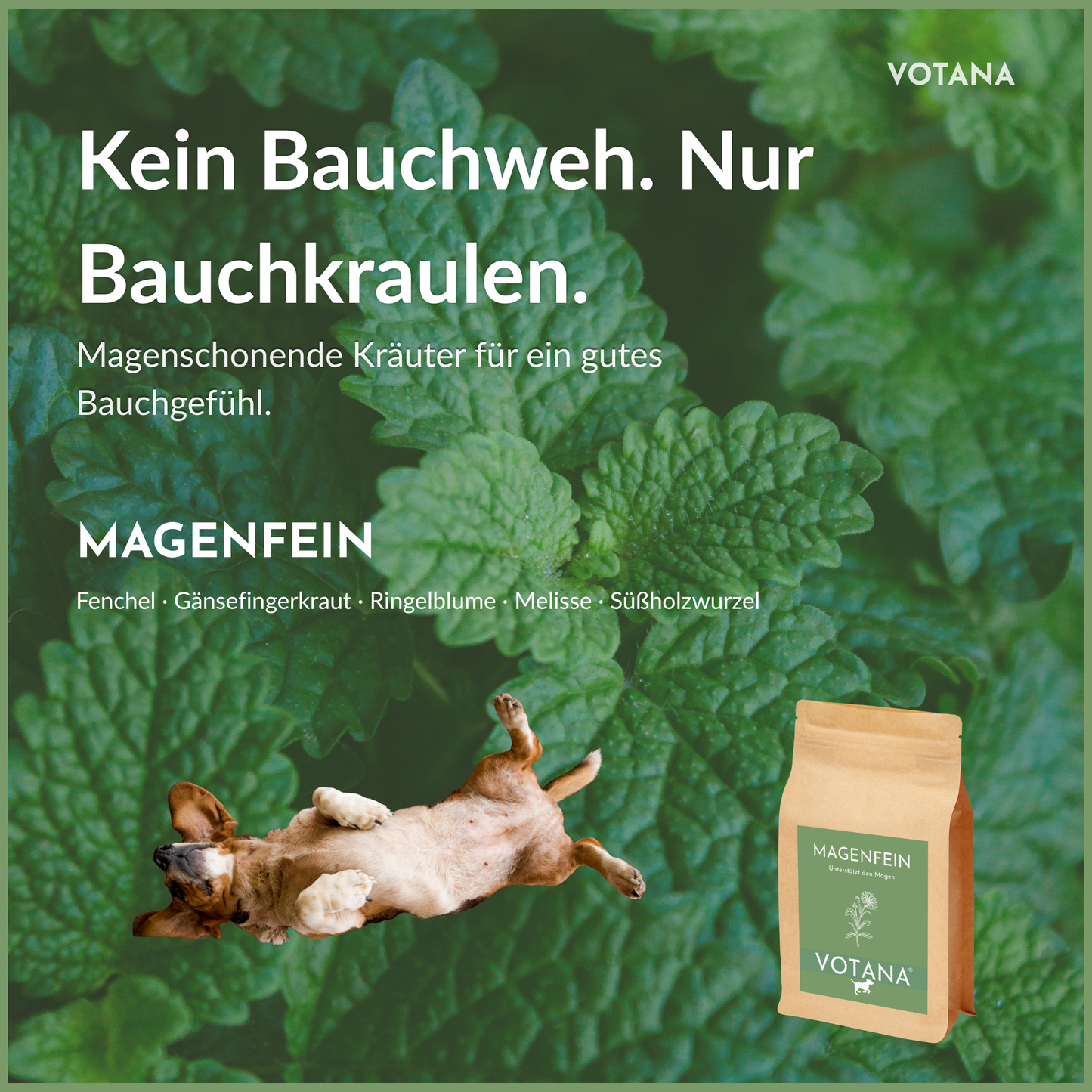 MAGENFEIN - Kein Bauchweh, nur Bauchkraulen: Magenschonende Kräuter mit Fenchel, Gänsefingerkraut, Ringelblume, Melisse, Süßholzwurzel für gutes Bauchgefühl beim Hund